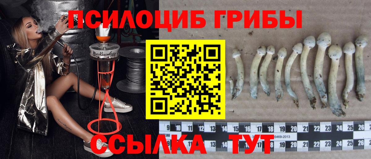Галлюциногенные грибы ЛСД Новокуйбышевск
