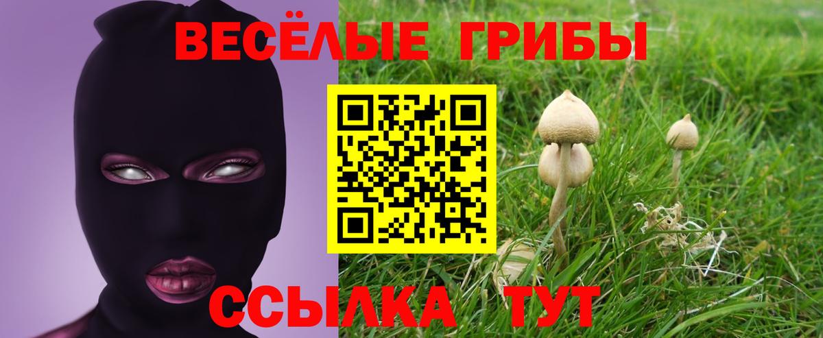 Новокуйбышевск  Псилоцибиновые грибы Magic Shrooms  Вход с VPN  Галлюциногенные грибы Cubensis 